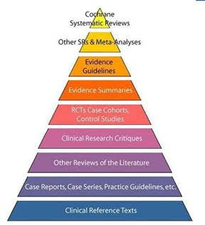 Levels of Evidence in OT • OT Potential