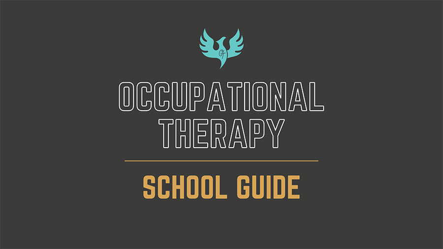 Occupational Therapy School Guide