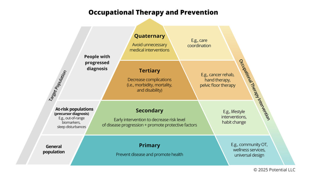 The occupational therapy (OT) and prevention pyramid. See how OT works at the primary, secondary, tertiary and quaternary level of prevention.