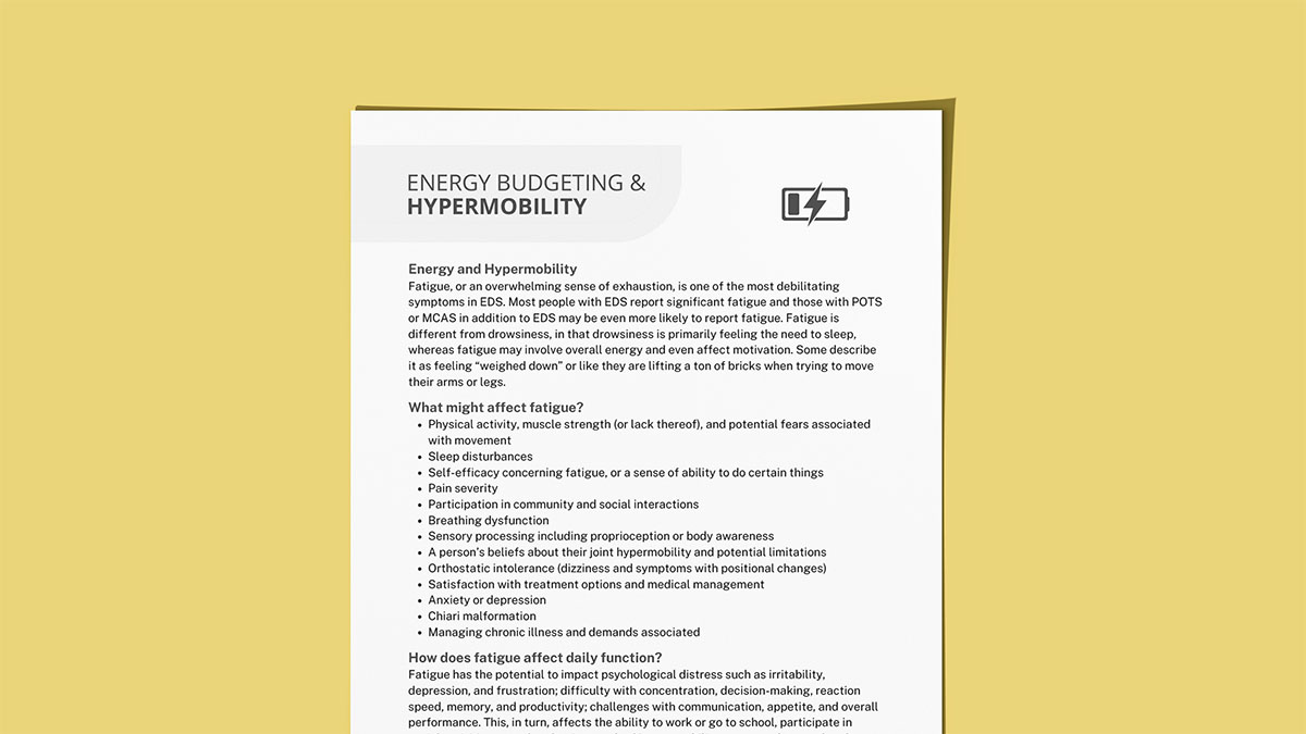 energy-budget-mockup